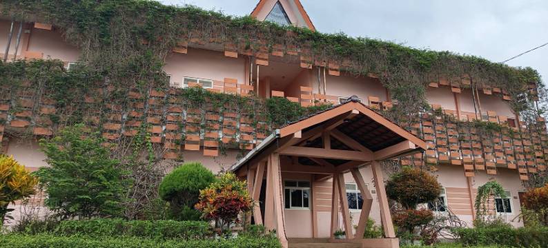 郁金香咖啡厅旅馆(Tulip Guest House & Cafe)图片