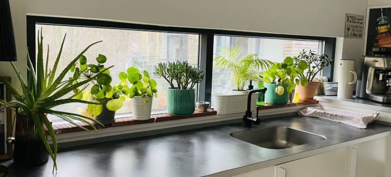 Vejle Central & river view & free parking图片