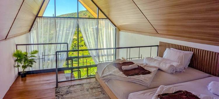 Zenith 别墅迪恩(Zenith Villa Dieng)图片