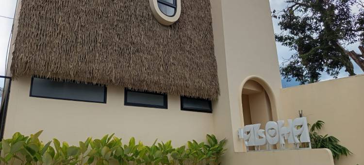 阿罗哈加鲁特别墅(Villa Aloha Garut)图片