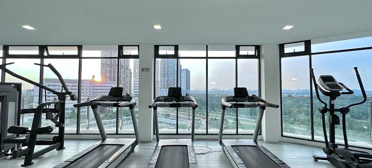 艾丽西亚套房酒店(The Elysia Suites)图片