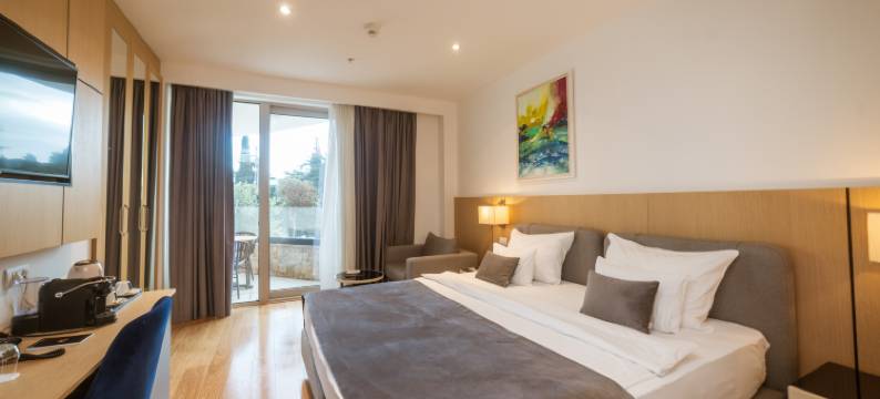 帝国会议和Spa酒店(Hotel Imperial Conference & Spa)图片