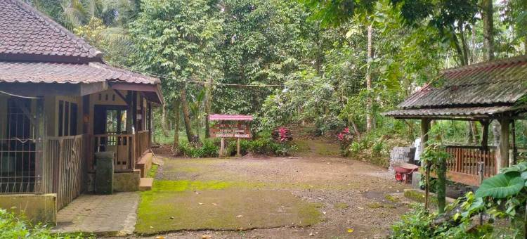 维拉恩德利克宜珍(Villa Ndelik Ijen)图片
