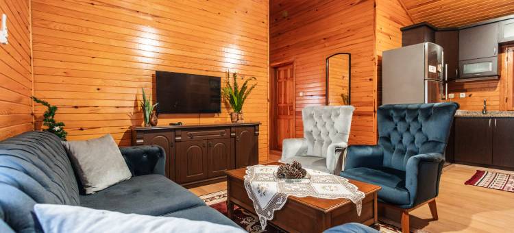 Holiday House Dilek图片