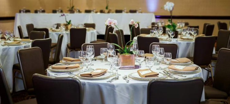 康科德广场费尔布里奇酒店(FairBridge Hotel by Concord Plaza)图片