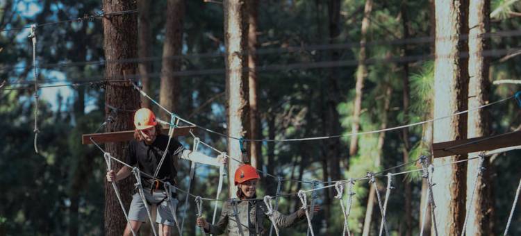 蔚十五云顶(W15 Ambuluwawa)图片