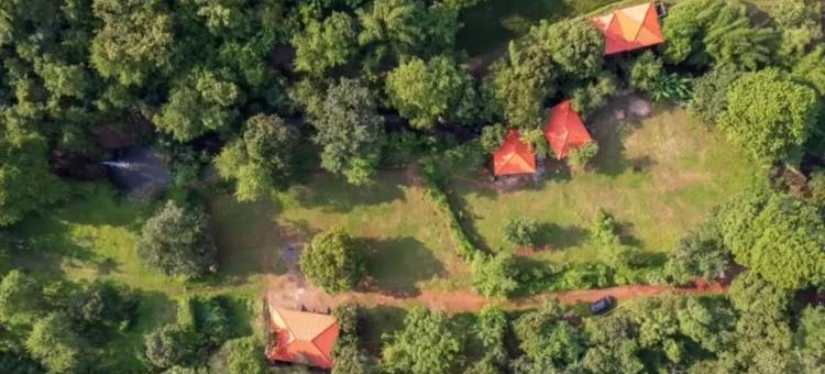 Nature Hill的LeafyDen森林小屋(Leafyden Forest Cottages)图片