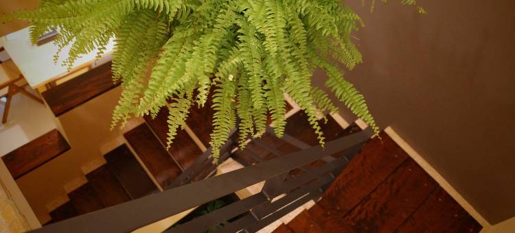 地平线潜水民宿图片