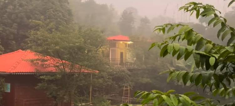 Nature Hill的LeafyDen森林小屋(Leafyden Forest Cottages)图片