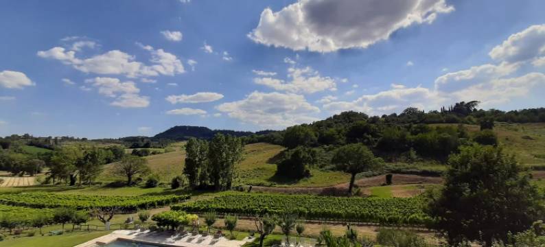 Wild Agriturismo Podere della Bruciata图片