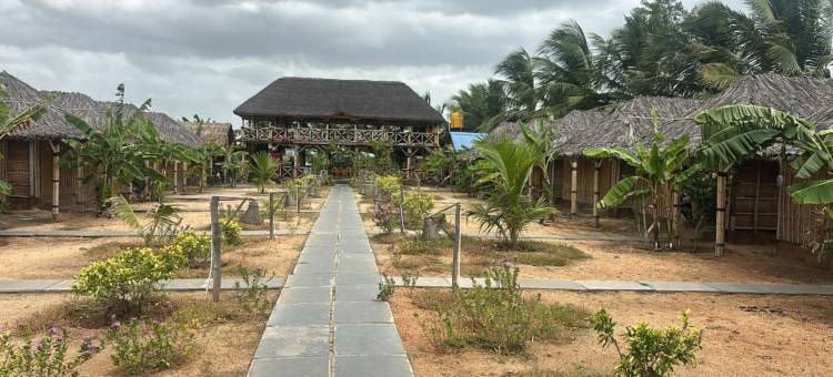 岩石上的国王(The King On The Rocks)图片