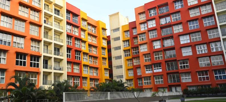 No Fixed Address图片