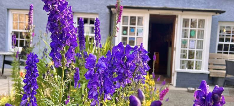 老十字酒店(St Davids Cross Hotel)图片