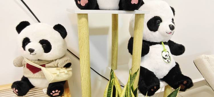 Panda House in JB~The house and is so cute Lovely!图片