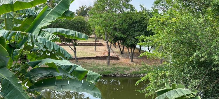 Grandma’s house Ayutthaya图片