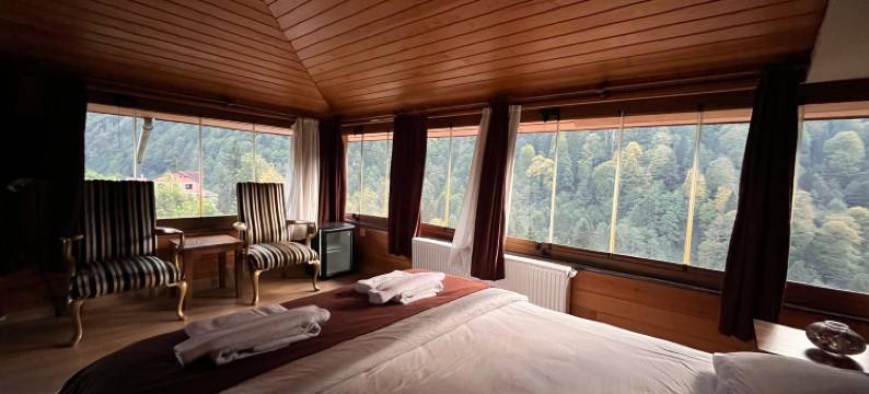 艾德尔酒店(Ayder Hotel)图片