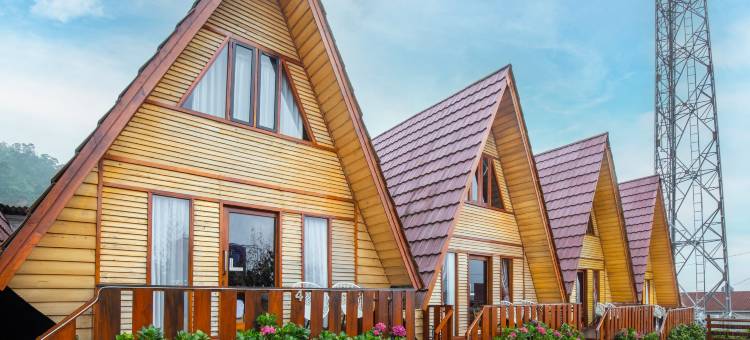 钻石小屋(Diamond Cabin House)图片