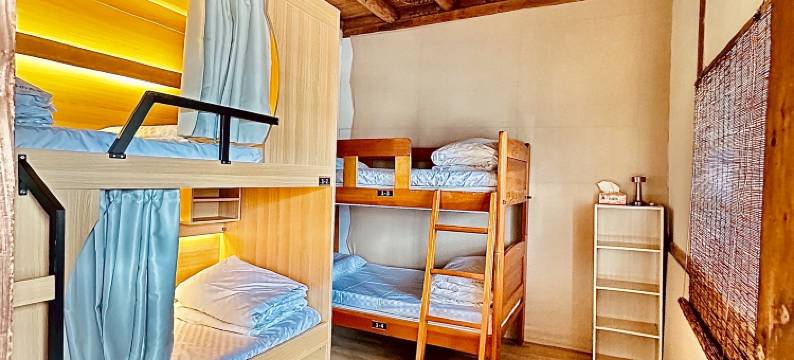 隙顶大象的天空图片