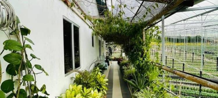 位于甘榜拉惹的4卧室独栋房屋-3000平方米|带3个独立浴室(Cameron Farm House)图片