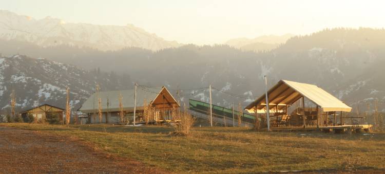Aglamp.kz 阿拉木图(Aglampkz Almaty)图片