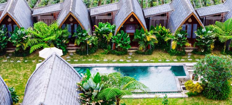 金塔马尼的火山口别墅(The Caldera Villas Kintamani)图片