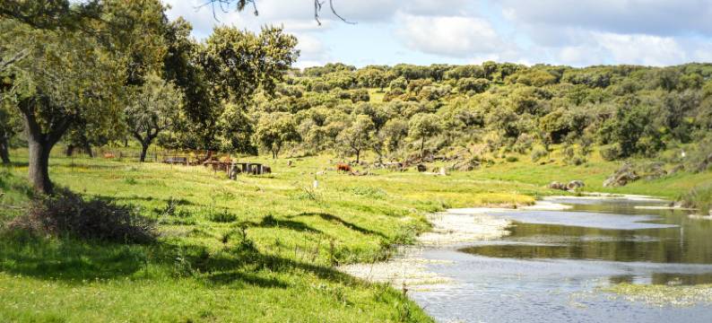 Complete house with pool near Trujillo图片