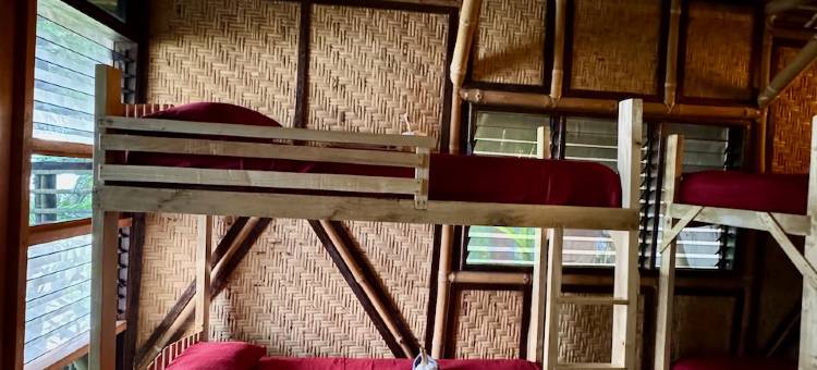 ShakaBrah beach hostel图片