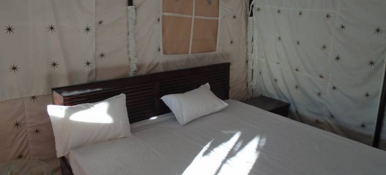 松树先锋生态度假村(Pine pioneer the eco resort)图片