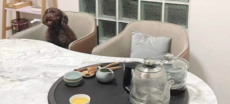 喜捨旅居 宠物友善民宿图片