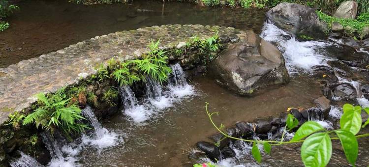 哈莫尼亚自然度假村 by Hiverooms(Harmonia Nature Resort by Hiverooms)图片