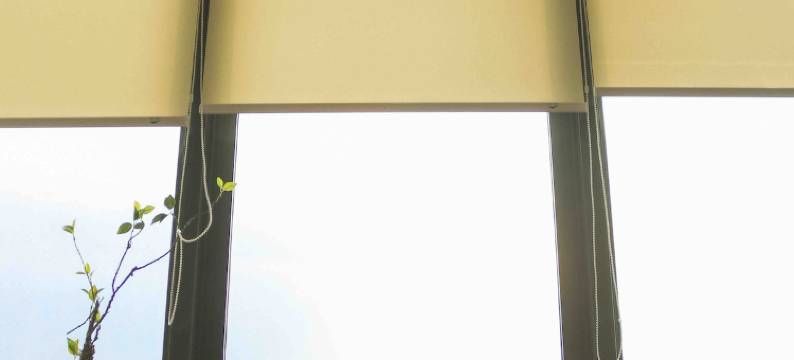 Japanese Style 1BR with Home Theater @Smith Alsut图片