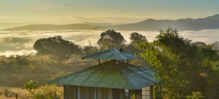 森林民宿别墅(Forrest Homestay Villa)图片