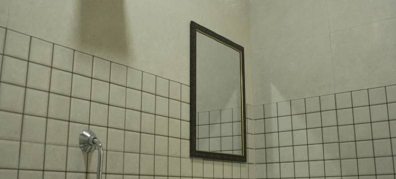 图尔西马哈尔公寓(Tulsi Mahal Residency)图片