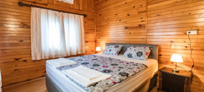 Holiday House Dilek图片