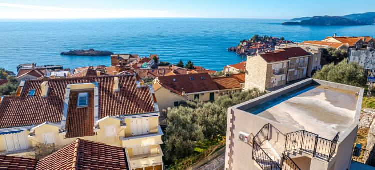 金皇冠(Golden Crown)图片