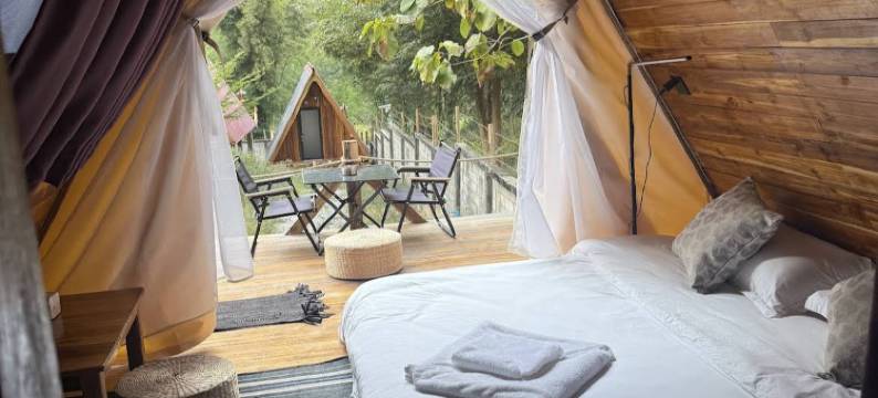 Mimosa Backpackers Hostel图片