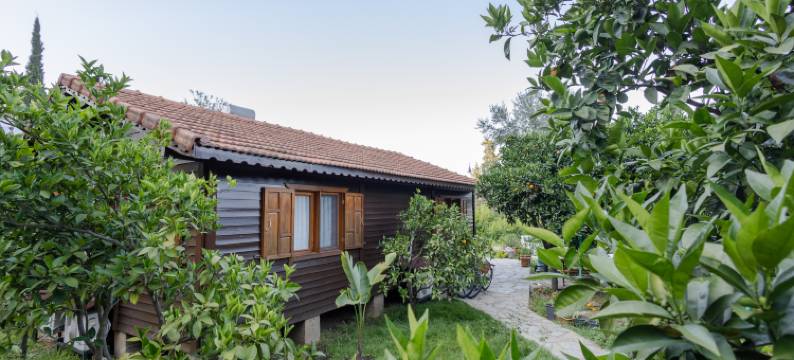 Holiday House Dilek图片