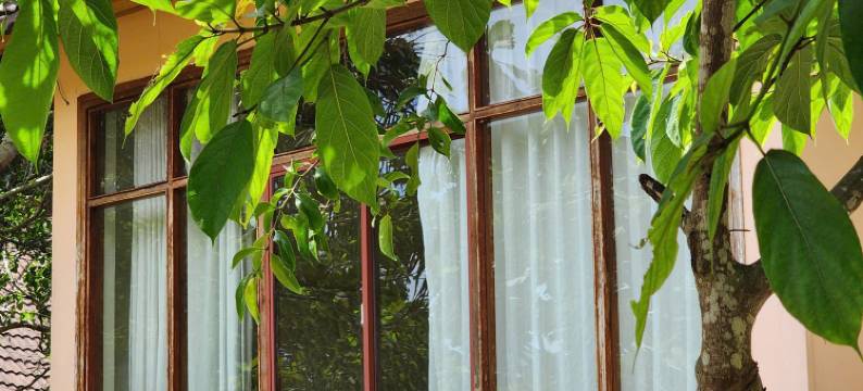 富国岛日出度假村(SUNRISE RESORT PHU QUOC)图片