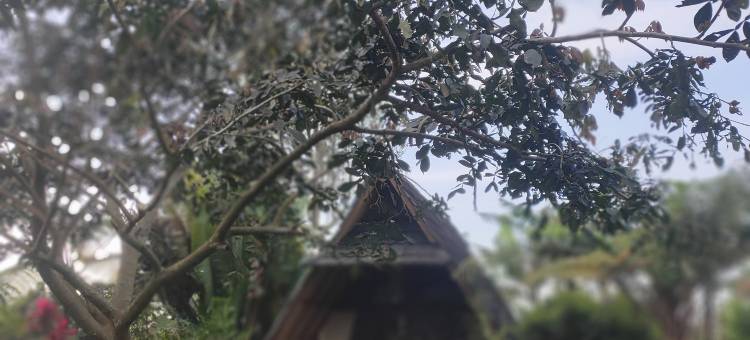 Lembah Cinta Mayungan图片
