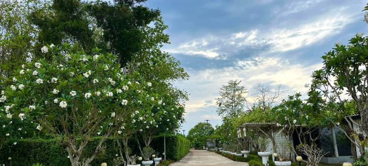 Banana Village Mae Taeng ChiangMai图片