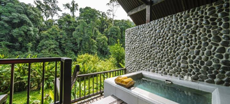 婆罗洲雨林度假村，丹浓谷(Borneo Rainforest Lodge)图片