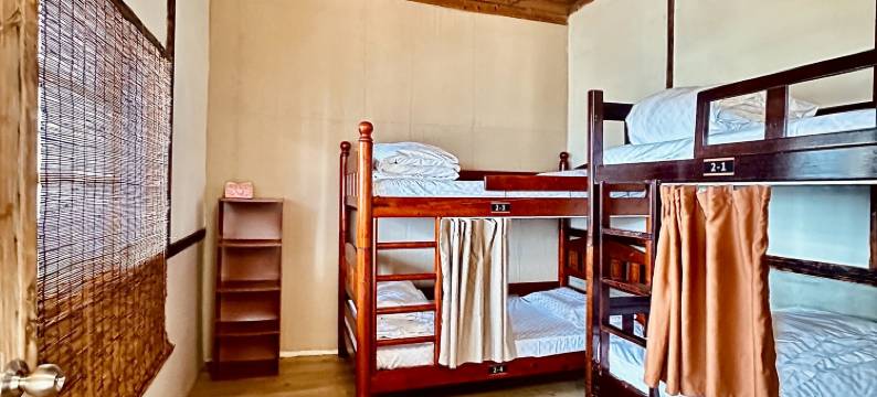 隙顶大象的天空图片