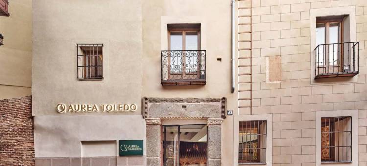 奥雷亚托莱多(Áurea Toledo by Eurostars Hotel Company)图片