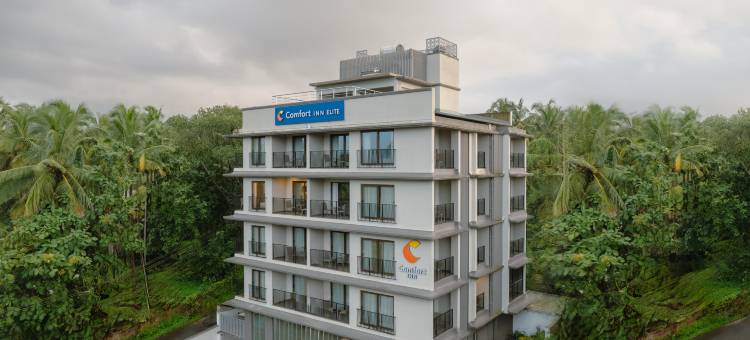 Comfort Inn Elite图片