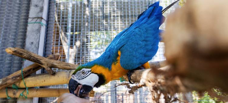 位于怡保Thompson的巴厘风情民宿, DAWA Brickhouse (Ryokan管理)(DAWA Brickhouse - Balinese Guesthouse in Thompson Ipoh by Ryokan Management)图片