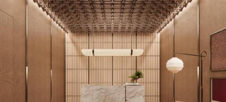 KIORI Collection Nishiki(KIORI Collection Nishiki)图片