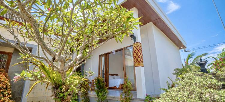 莫林加潘达瓦旅馆(Moringa Pandawa Guest House)图片