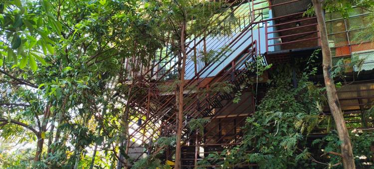 Amruta Homestays图片