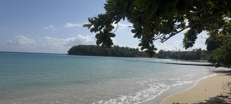 肖公园海滩凯悦嘉荟酒店(Shaw Park Beach Hotel at Sunny Beach Inn)图片