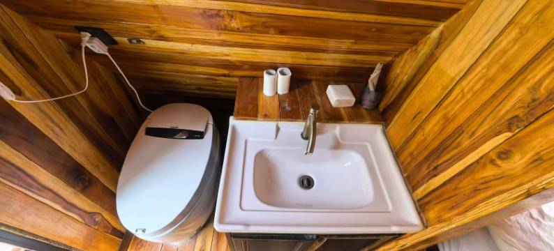 Mimosa Backpackers Hostel图片